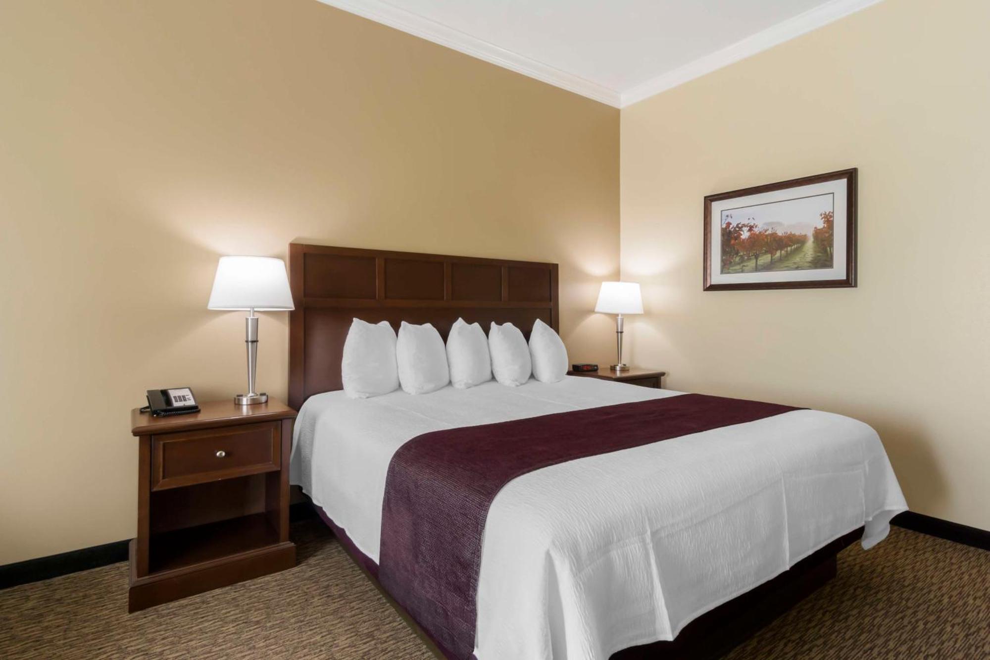 Hotel Western Grapevine Sunnyside