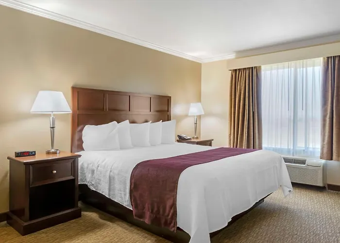 Best Western Plus Grapevine Inn